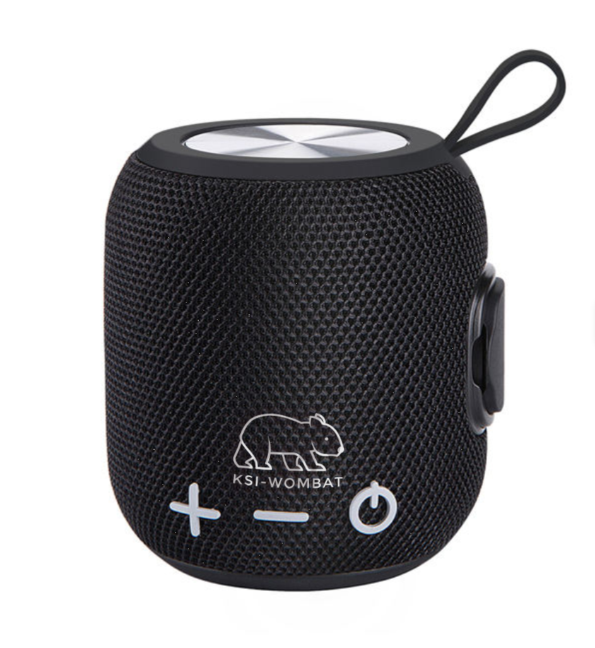 Portable BT Speaker