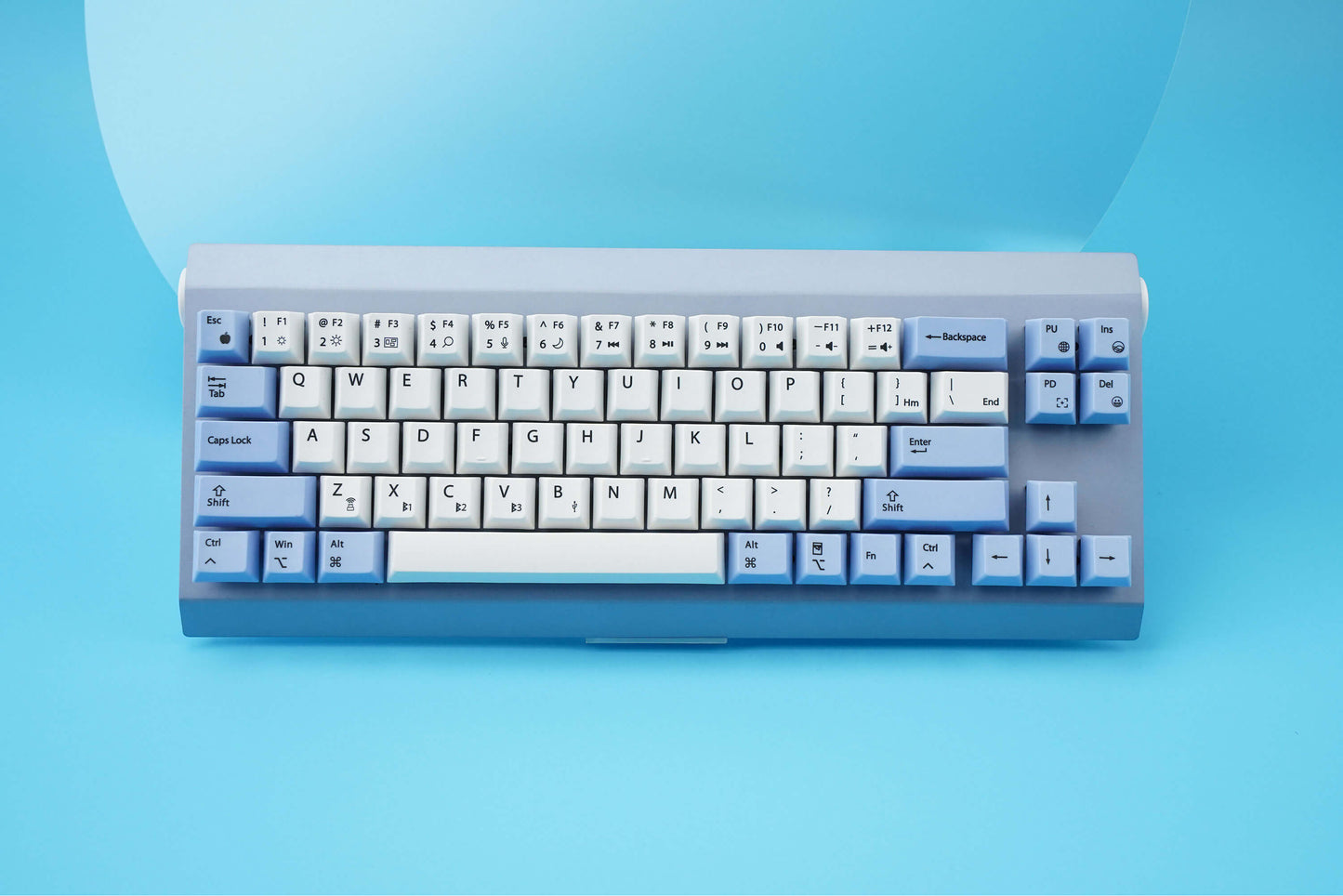 Light Blue