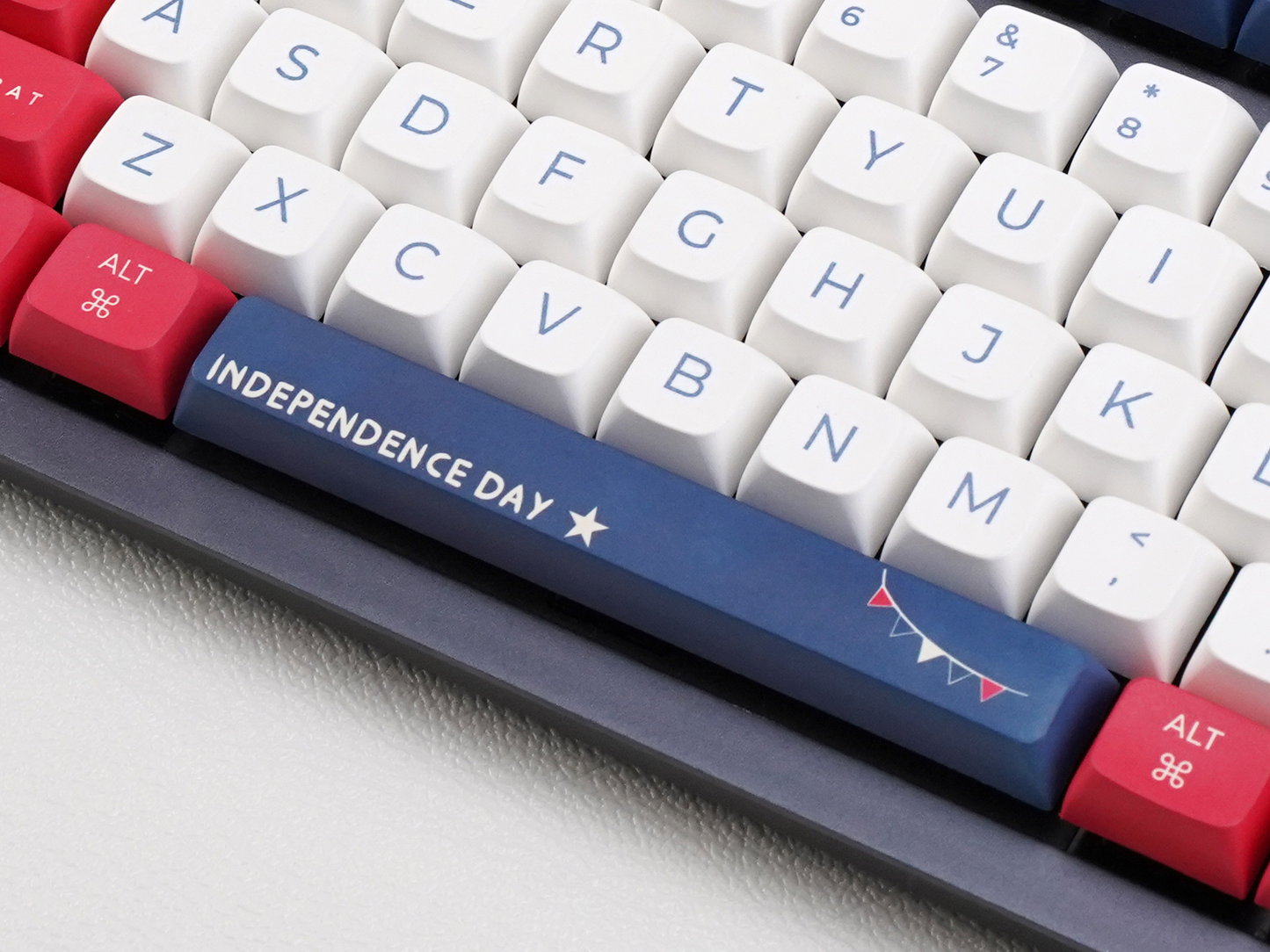 Patriotic Professional (Independence Day Special Edition)